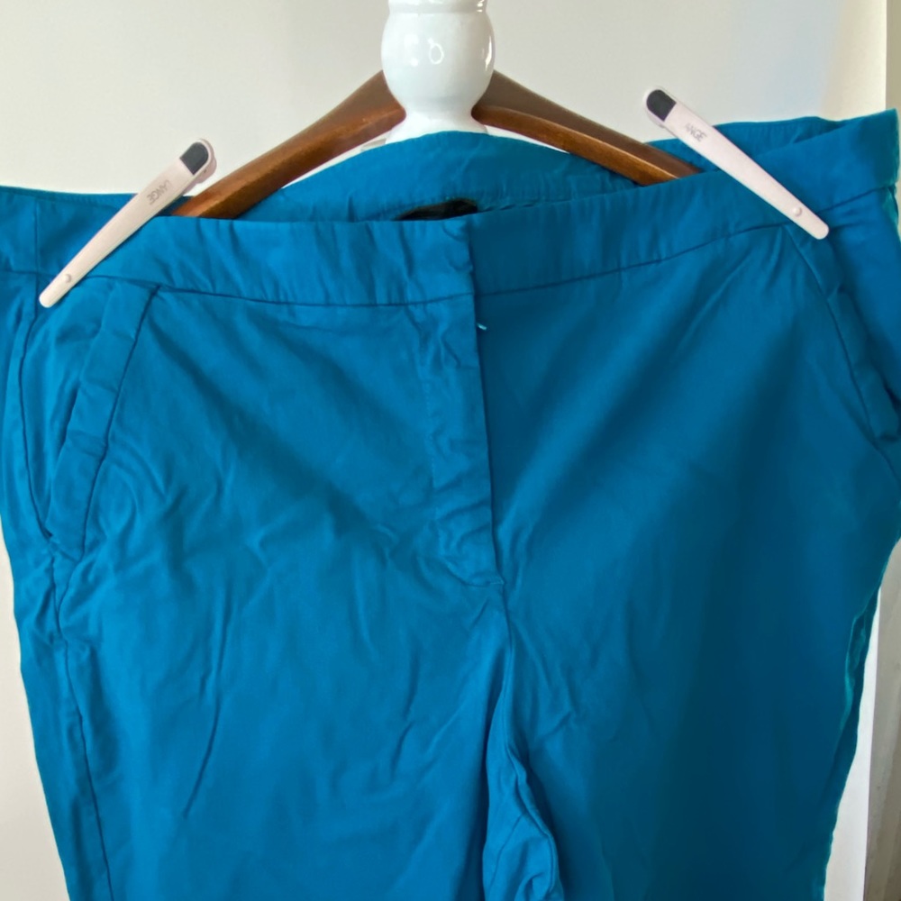 Lane Bryant Pants